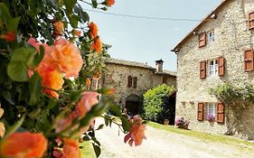 Cammino Nel Verde